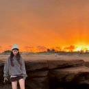 서쪽사계 이미지