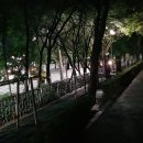 한스비어 - 춘천시 | 한스비어