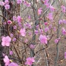 삼방공원 이미지