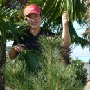 무안 톱 관광펜션 이미지