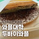 와플대학 | 와플대학 두바이와플 먹어본 후기, 와플대학 두바이 젤라또까지