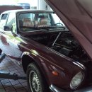 스타모터스 이미지