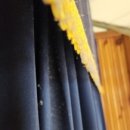 정읍체육관 강당 이미지