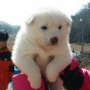 청풍원휴게소 이미지