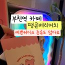 라니베리 - 수원시 팔달구 | 라니베리