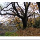 문수사 주차장 이미지