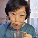 평창자연다옴_양배추 즙_가족 위 건강을 지켜요!​