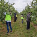 공공시설사업소 이미지