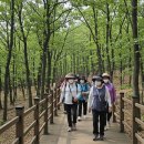 7080잔치국수 이미지