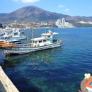 지세포친수공간 이미지