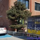 토월초등학교 이미지