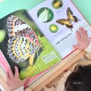 자연엔 | 유아 자연관찰책 자연이알쏭으로 놀이학습 후기