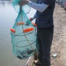 k1한국바다낚시터 이미지