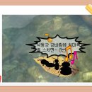 두번째. 맑은 강줄기에 떠내려온 나뭇잎에 개미가 3마리 있구나.8,12 이미지