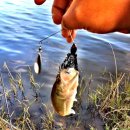 광신대교 이미지