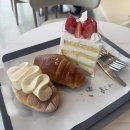 다송목장 | 또 한 주 근황