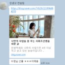 송송이님의 인생샷 컨설팅 재방문 후기(ft. 20대 여자 카톡 프사 아이폰 스냅사진 이용 후기)