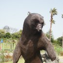 믿거나말거나박물관 이미지