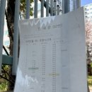 중앙로 파리바게트 앞 이미지