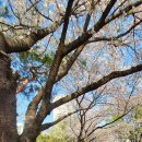 귀인동-4 이미지