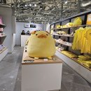 성지목욕탕