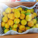 강정올레농수산