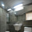 신나무실 신명·동보 이미지