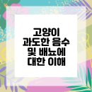 송파바로동물병원 이미지