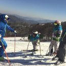 휘닉스 파크 이미지