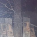 천하대장군 이미지