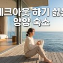 동해카방음 | 양양 숙소 추천, 오션뷰 덕분에 체크아웃이 아쉬웠던 감성 숙소