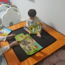 튼튼방방 이미지