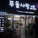 창원 푸들사랑 오픈 이미지