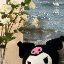 2023-주205 이미지