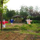 인천나비공원 이미지