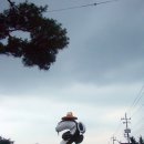 추어조형물 네이버블로그