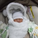 우리세탁 | 화정 카시트 세탁 우리아이 화정점 리얼후기