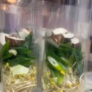 코펜하겐떡볶이 이미지