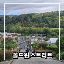 시간따라 장소따라 세계를 알자 | 세계에서 가장 가파른 거리 뉴질랜드 더니든 볼드윈 스트리트 올라가본 후기