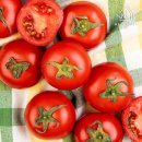 농업회사법인 우듬지팜㈜ 이미지