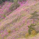 명주샤브칼국수 이미지