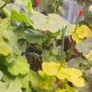 방실농장 이미지