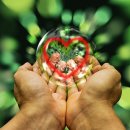 당신은 선물입니다 이미지