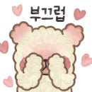 퍼피타임 이미지