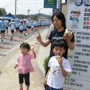 람사르총회 환경마라톤 관련 기사 이미지