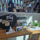 호수공원작은도서관 | 아중호수도서관 궁금해서 탐방후기 그리고 아중호수공원 아이와함께 데크 한바퀴 돌기