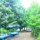 화이트민박 이미지