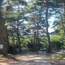 대경민박 이미지