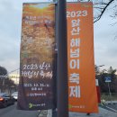 대구광역시남구청 이미지