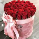 양림동역사문화작은도서관 이미지